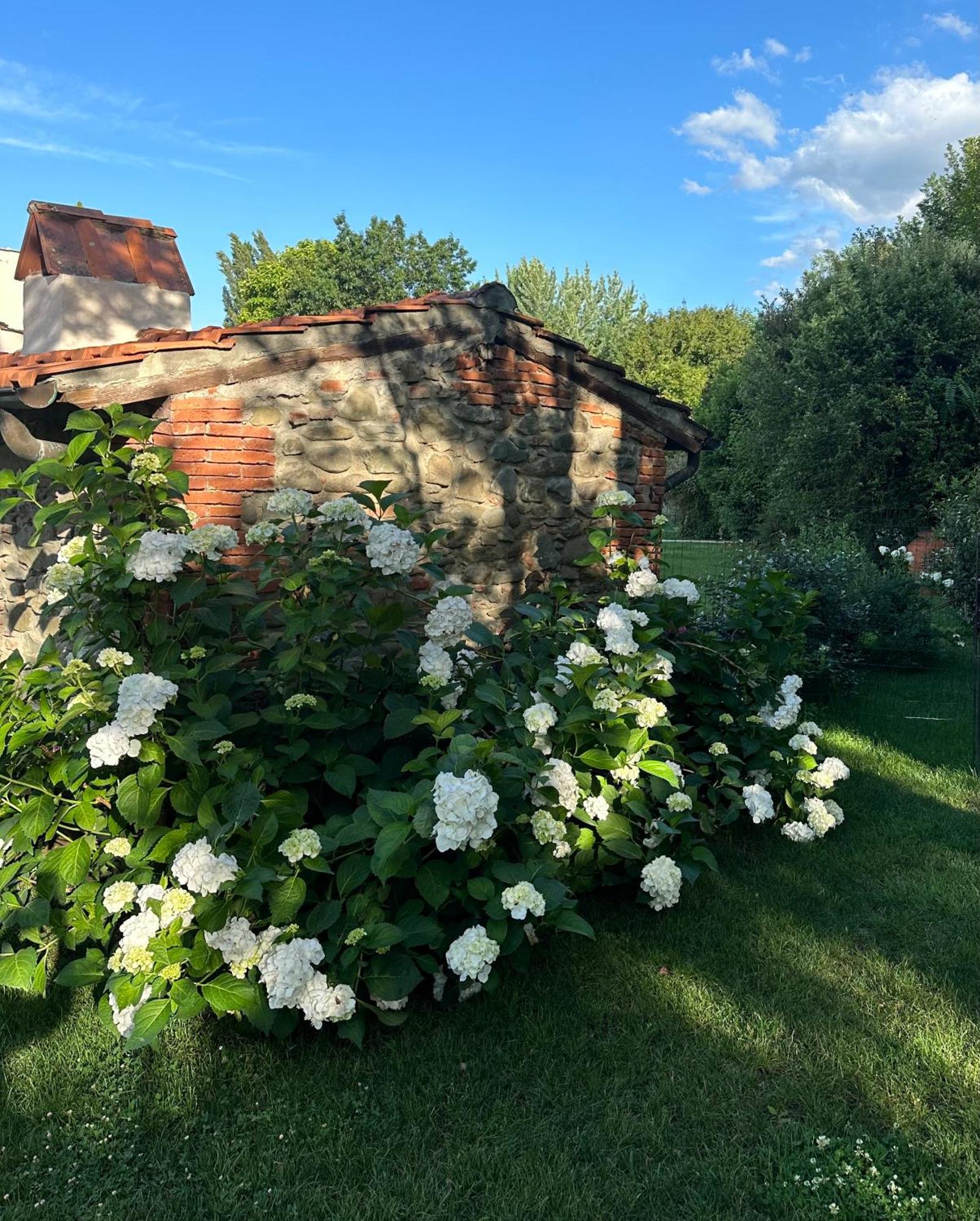 Casale La Gora - B&B Di Charme Фильине-Вальдарно Экстерьер фото